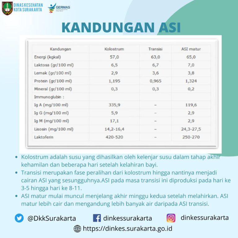 Pekan ASI Sedunia Tahun 2021 “Melindungi dan Memfasilitasi